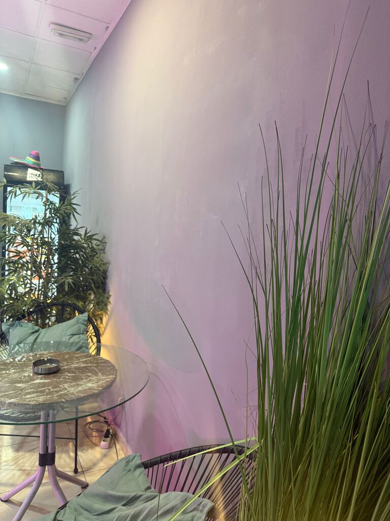 2nd plant for air cleaning