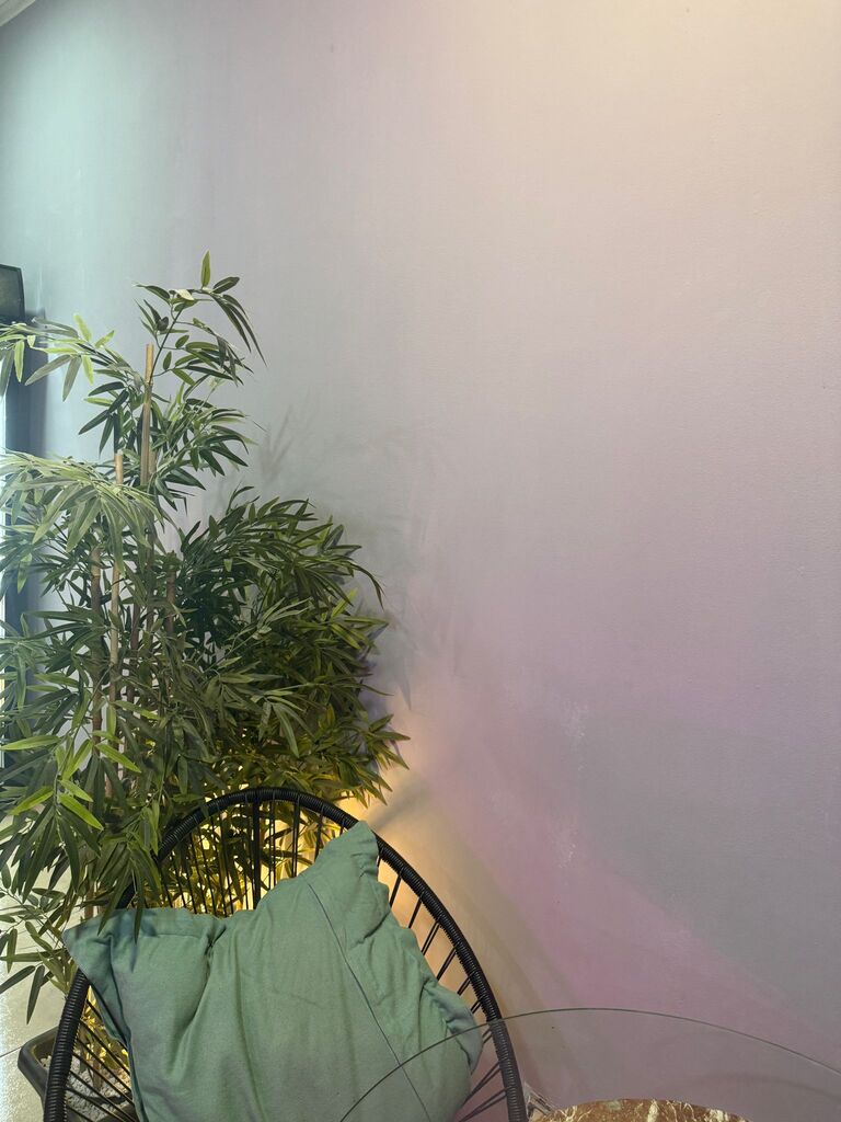 air plant