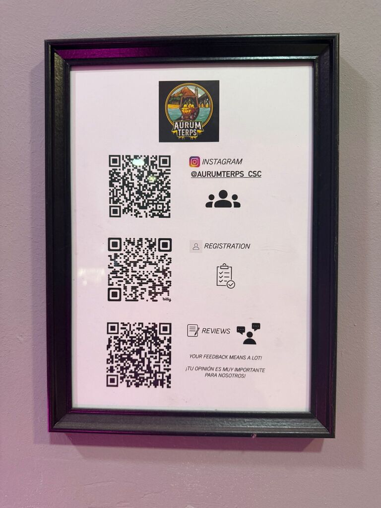 entry scanning codes